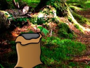 茂密的森林逃生